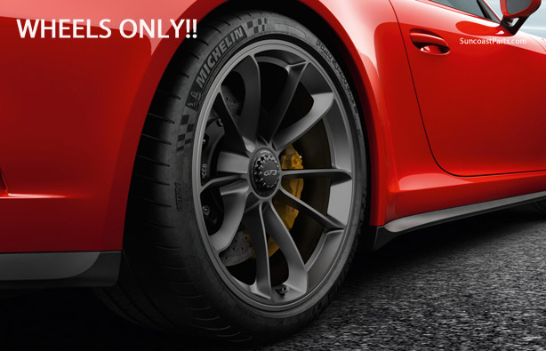 GT3 Wheel Set in Platinum (Wheels Only) : Suncoast Porsche Parts